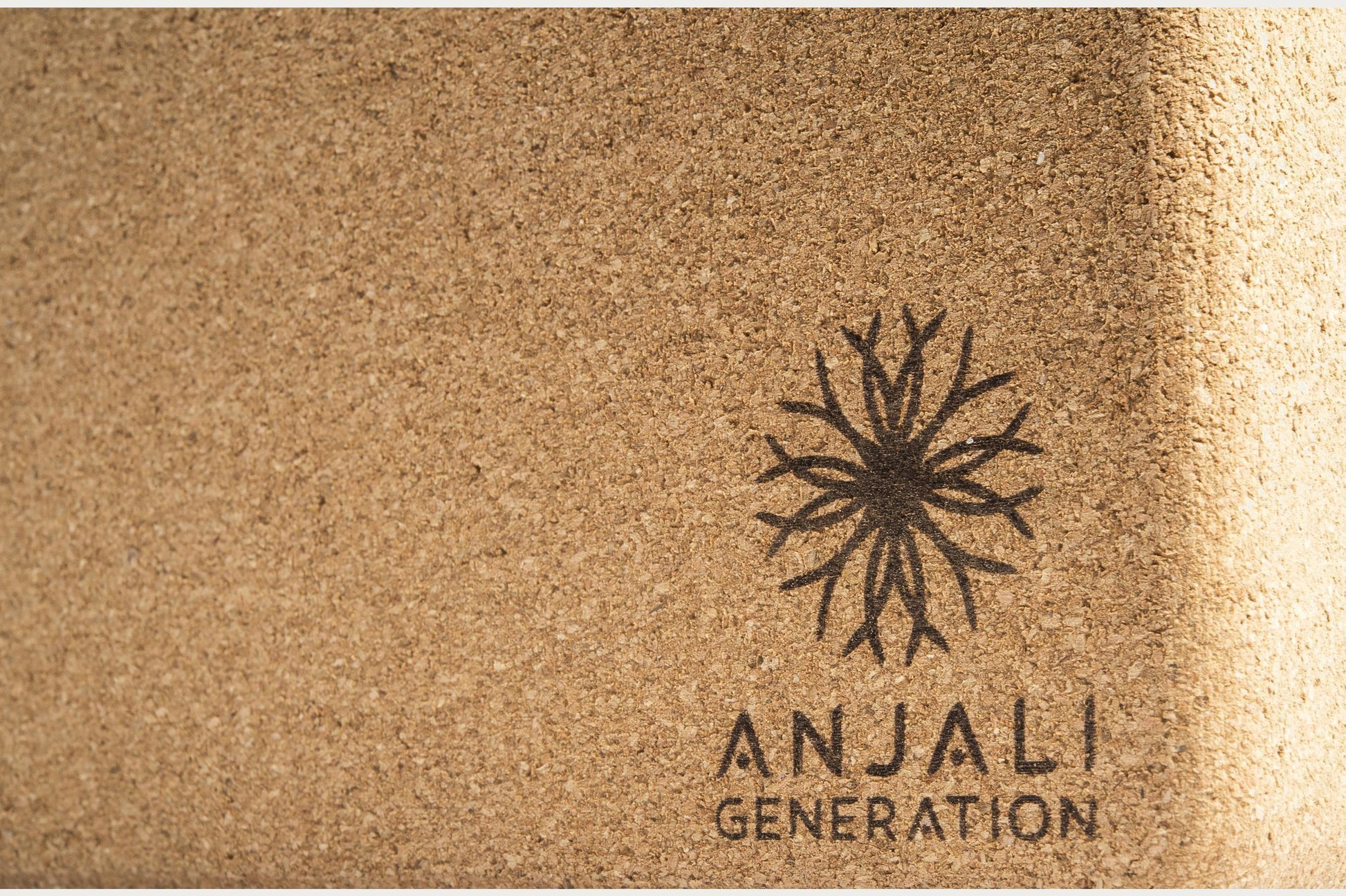 Anjali Generation - Anjali Cork Yoga Block - EcoLife Box