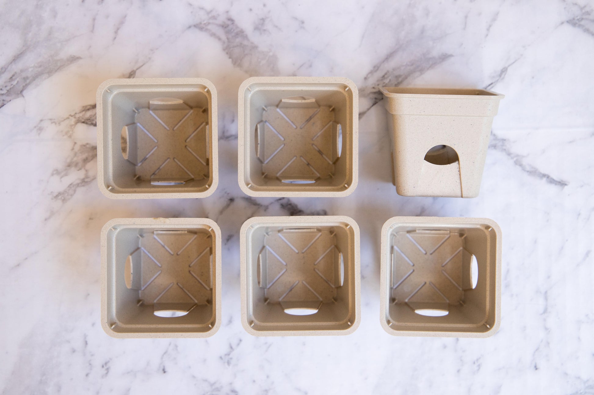 SelfEco Garden - Compostable Seed Starting Garden Pots - EcoLife Box