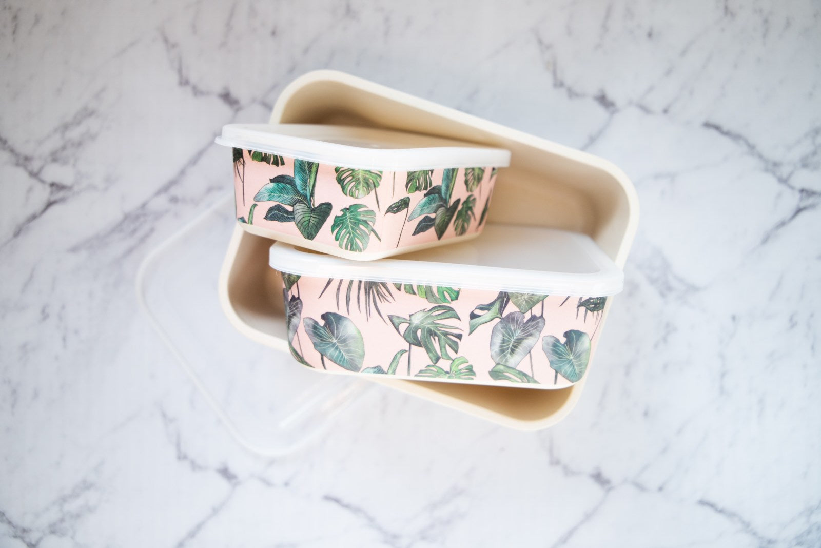 Big Bite Eco - Monstera Containers Set of 3 - EcoLife Box