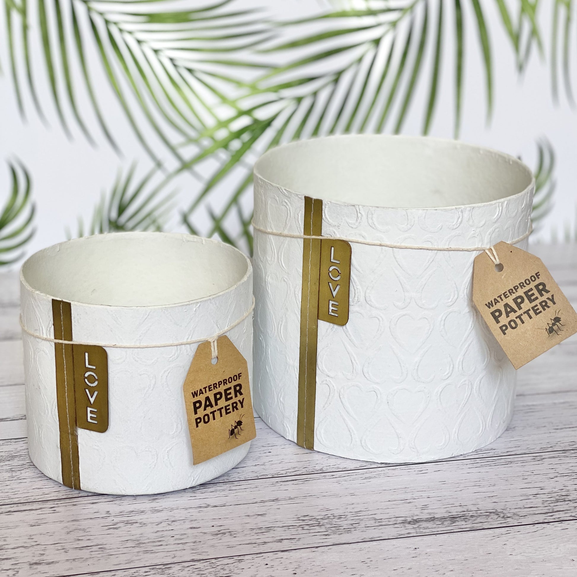 Two EcoMax paper pots white with heart pattern, sizes small and medium, on a wooden surface with green leaves in the background.