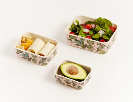 Big Bite Eco - Monstera Containers Set of 3 - EcoLife Box