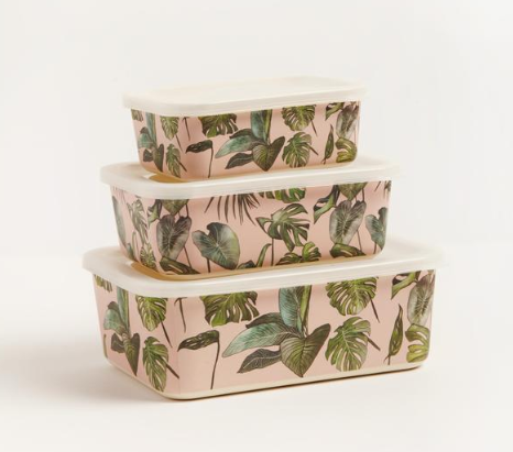 Big Bite Eco - Monstera Containers Set of 3 - EcoLife Box