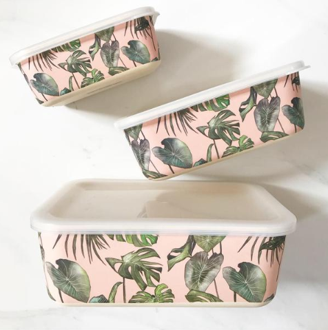 Big Bite Eco - Monstera Containers Set of 3 - EcoLife Box