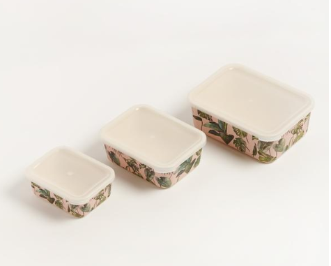 Big Bite Eco - Monstera Containers Set of 3 - EcoLife Box