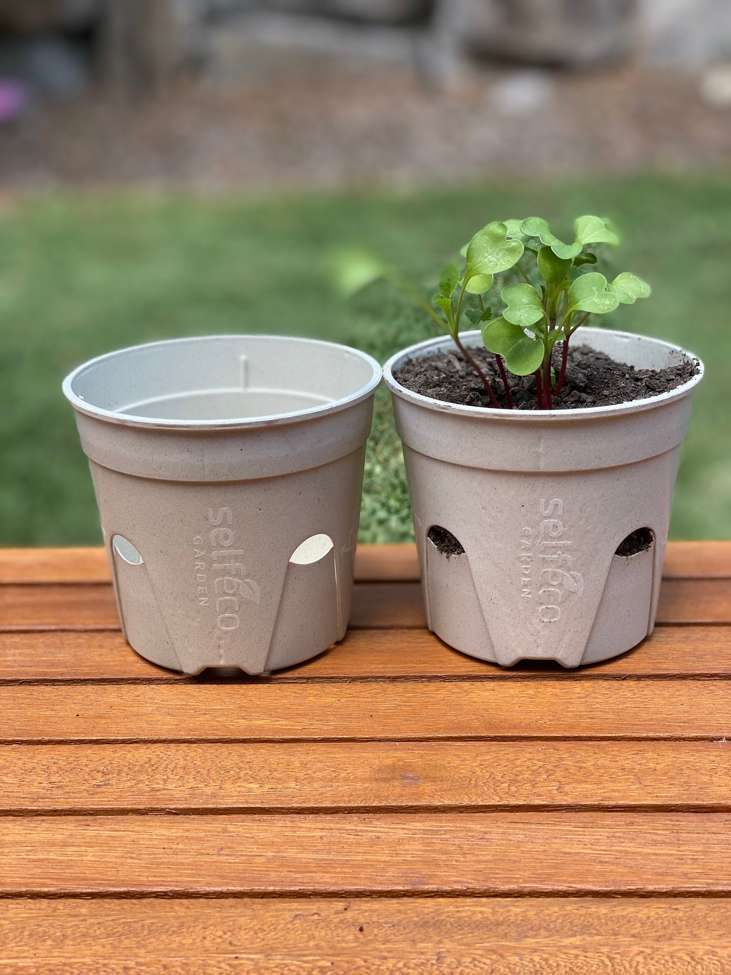 SelfEco Garden - Compostable Seed Starting Garden Pots