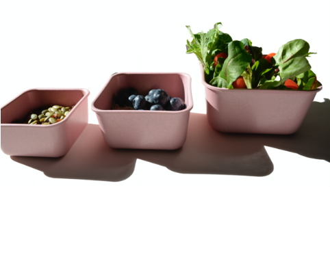Big Bite Eco - 3 in 1 Eco Biodegradable Food Storage Set