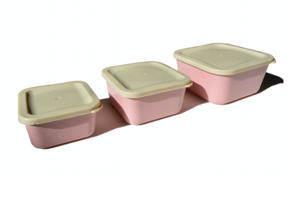 Big Bite Eco - 3 in 1 Eco Biodegradable Food Storage Set