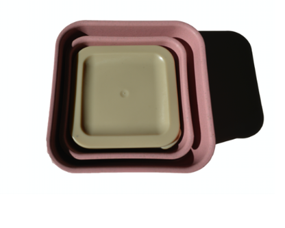 Big Bite Eco - 3 in 1 Eco Biodegradable Food Storage Set