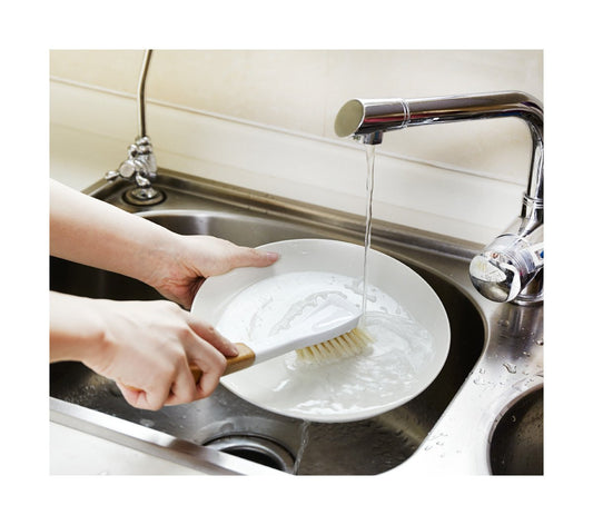 Full Circle - Laid Back Reusable Dish Brush