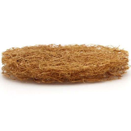 Safix - Foot & Body Scrub Pad